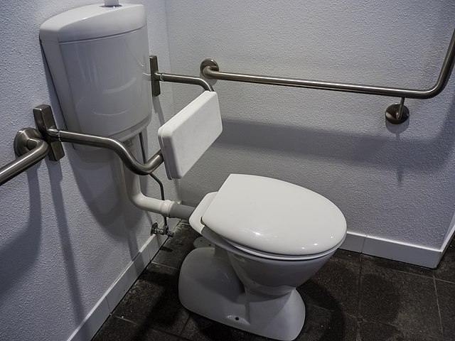 Toilet veilig